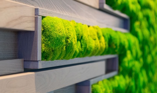 Phs Greenleaf Lifestyle Moss Wall Interior Large