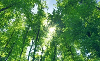 Shutterstock 1724592682 Large