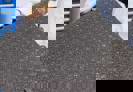 matta3.jpg