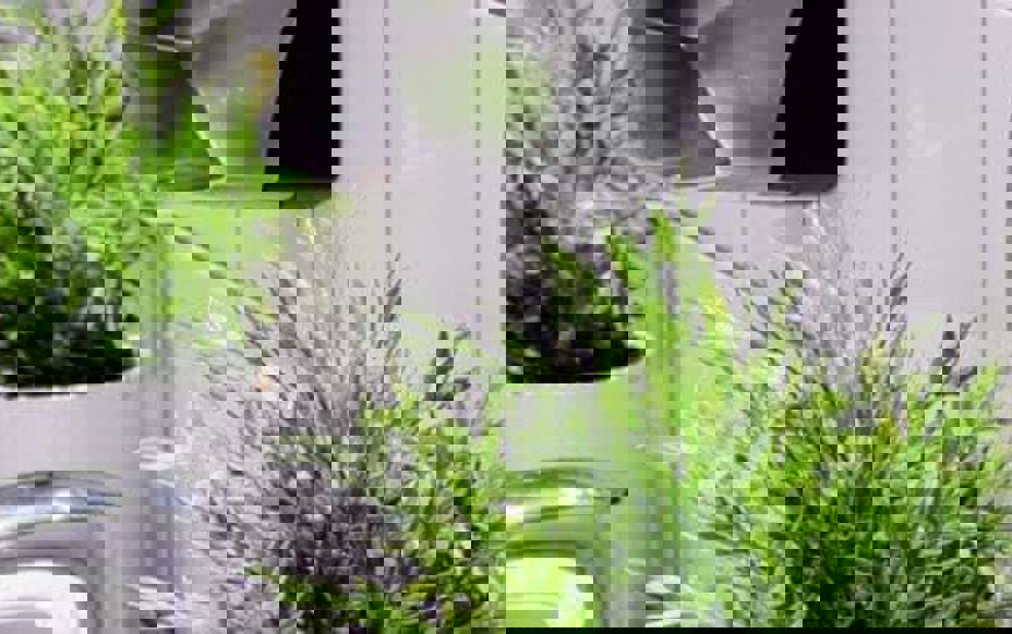 8490A0240b0e808b754735a82a19e8928ad36c5b