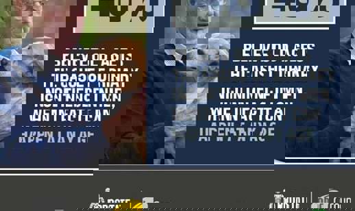 48%