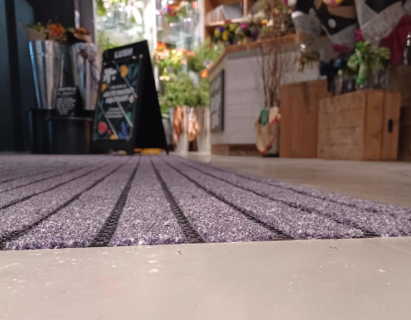 Untitled - 2025-04-28T165855.868.png