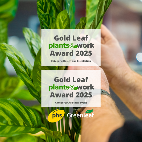Gold Leaf Plants At Work Award