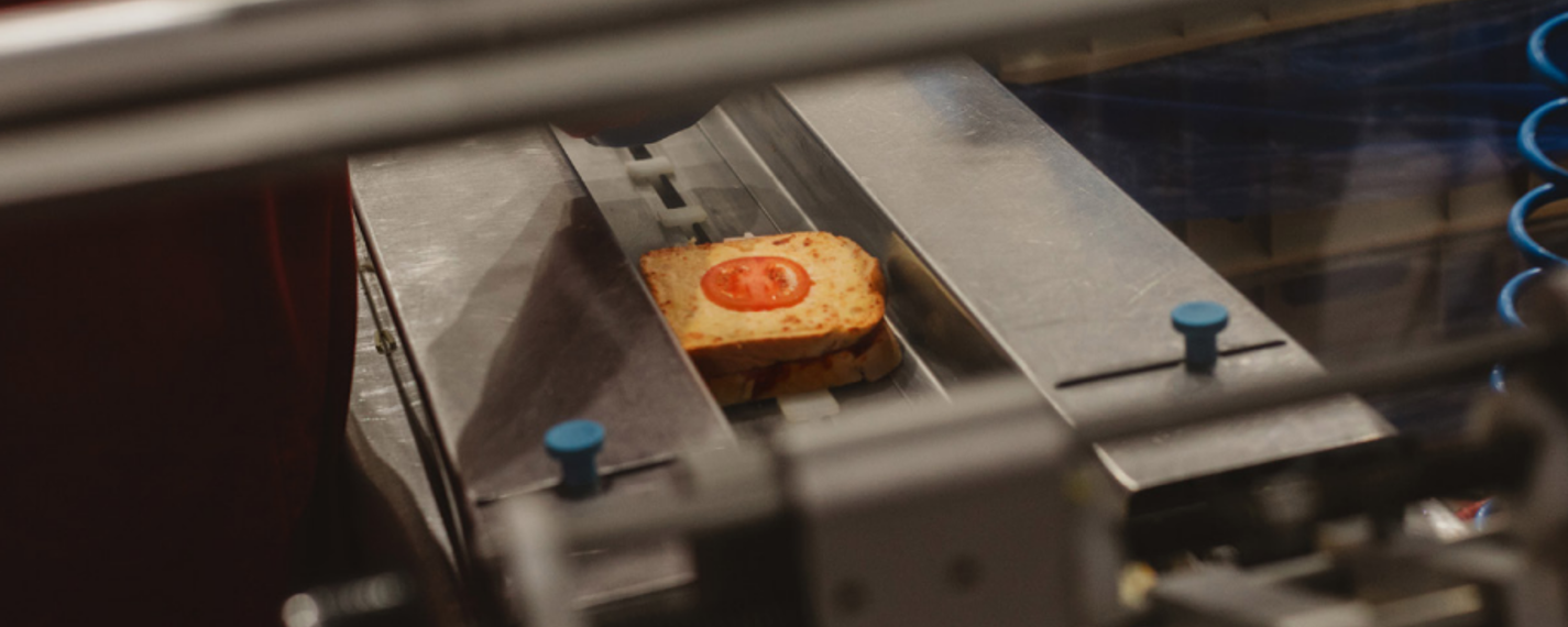 Deli Lites Case Study Aeramax Professtional