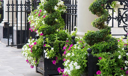 3E59e4f24fc4c42f526444ec6f6e5e05c9fdda5c