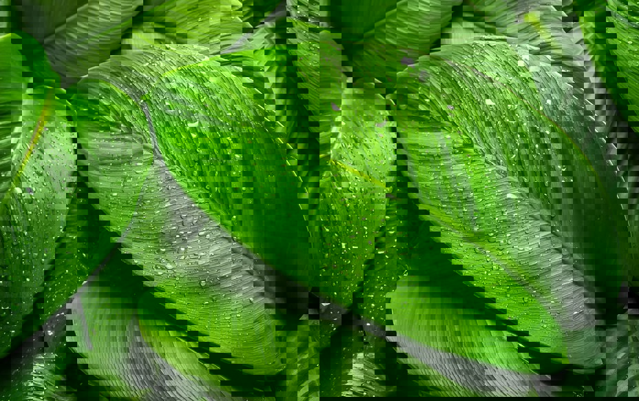 Shutterstock 2478913801