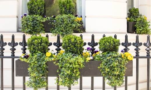 Phs Greenleaf Winter Trough 4 Large