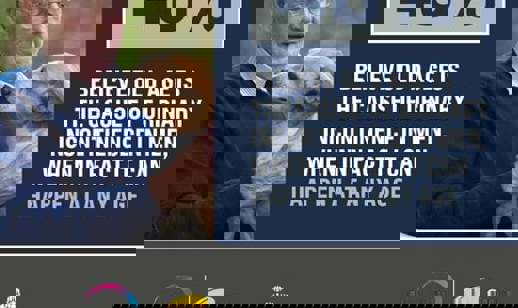 48%