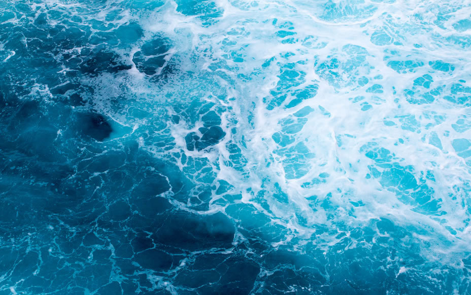 Our Commitment To Clean Oceans Blog Banner (1)