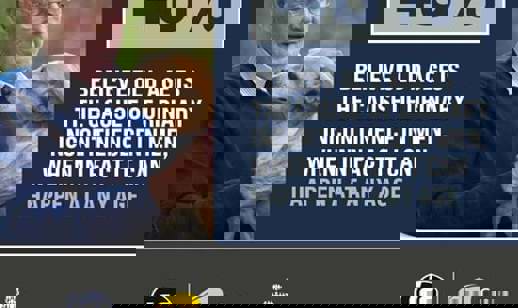 48%
